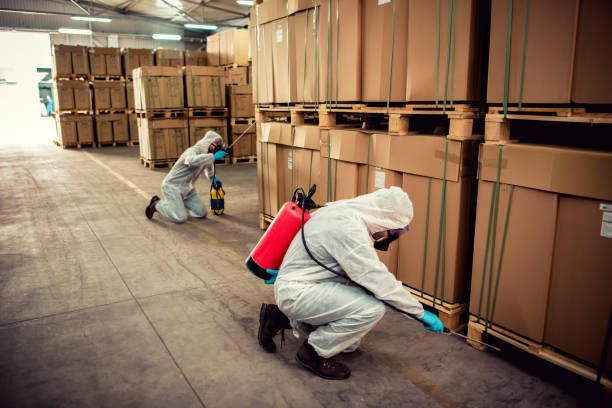 Best Best Pest Control Companies  in Circle Pines, MN