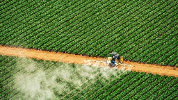 Reliable Circle Pines, MN Pest Control Solutions
